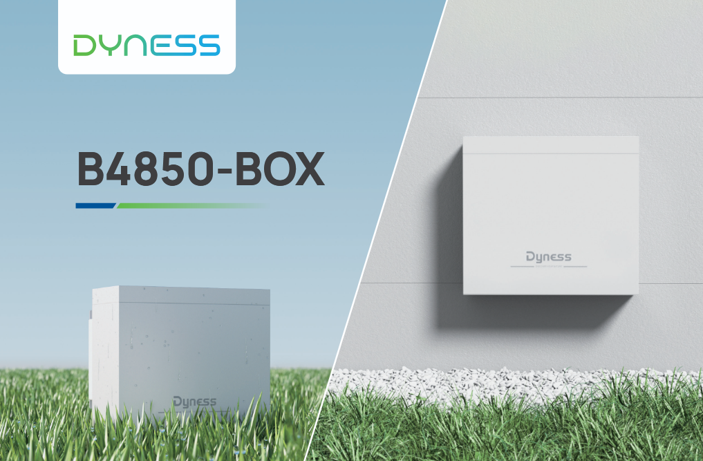 CAJA DYNESS B4850-BOX